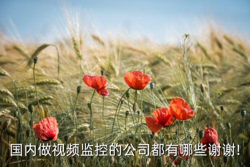國內做視頻監(jiān)控的公司都有哪些謝謝!