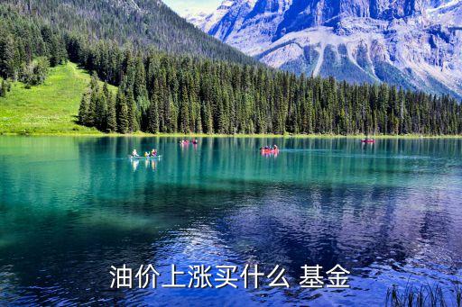 石油基金有哪些,關于石油的基金有哪些
