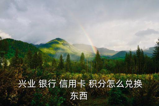  興業(yè) 銀行 信用卡 積分怎么兌換東西