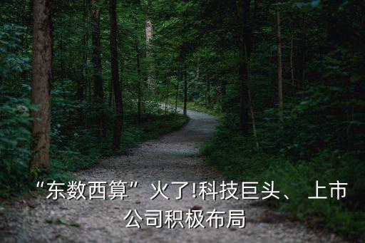 “東數(shù)西算”火了!科技巨頭、 上市 公司積極布局