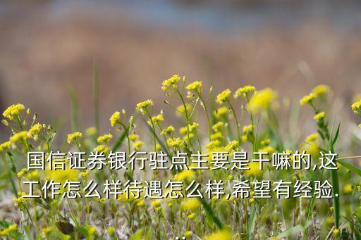  國信證券銀行駐點主要是干嘛的,這工作怎么樣待遇怎么樣,希望有經驗...