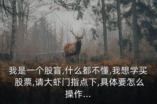 我是一個(gè)股盲,什么都不懂,我想學(xué)買 股票,請大蝦門指點(diǎn)下,具體要怎么操作...