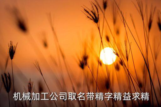奇精機(jī)械股份有限公司董事長,寧?？h奇精機(jī)械股份有限公司