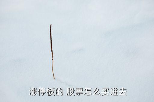 如何買(mǎi)入漲停股票,怎樣買(mǎi)入開(kāi)盤(pán)就漲停的股票