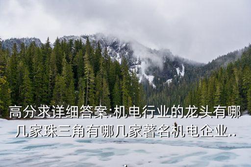 高分求詳細(xì)答案:機電行業(yè)的龍頭有哪幾家珠三角有哪幾家著名機電企業(yè)...