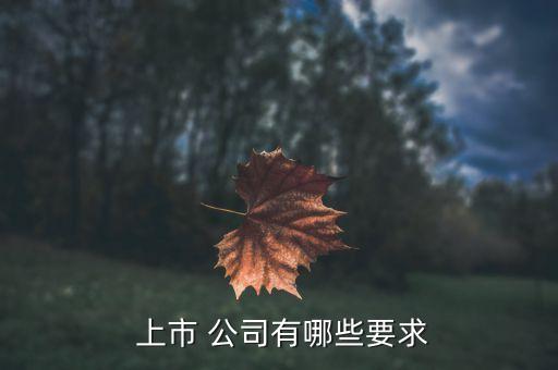 上市公司同業(yè)競(jìng)爭(zhēng)規(guī)定