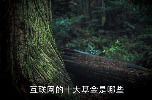  互聯(lián)網(wǎng)的十大基金是哪些