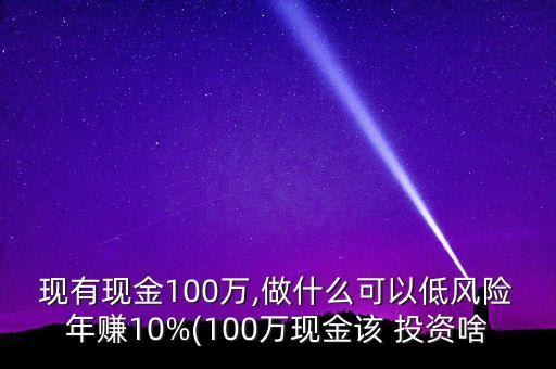 現(xiàn)有現(xiàn)金100萬,做什么可以低風險年賺10%(100萬現(xiàn)金該 投資啥