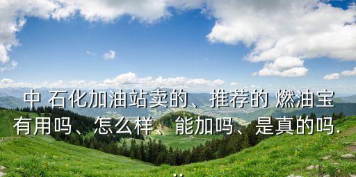 中 石化加油站賣的、推薦的 燃油寶有用嗎、怎么樣、能加嗎、是真的嗎...
