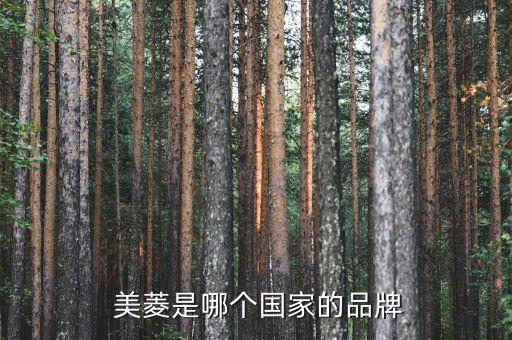 南通美菱電器營銷有限公司,長(zhǎng)虹美菱生活電器有限公司