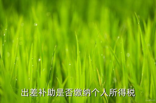 出差補(bǔ)助是否繳納個(gè)人所得稅