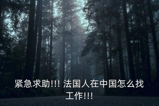 緊急求助!!! 法國人在中國怎么找工作!!!