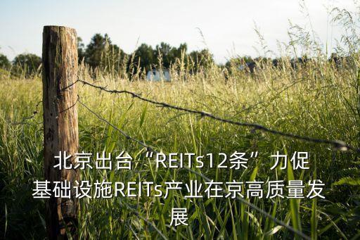  北京出臺“REITs12條”力促基礎(chǔ)設(shè)施REITs產(chǎn)業(yè)在京高質(zhì)量發(fā)展