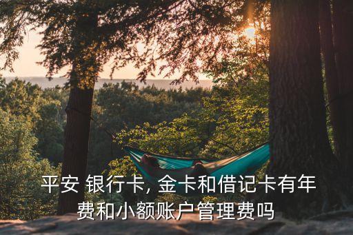 平安 銀行卡, 金卡和借記卡有年費和小額賬戶管理費嗎