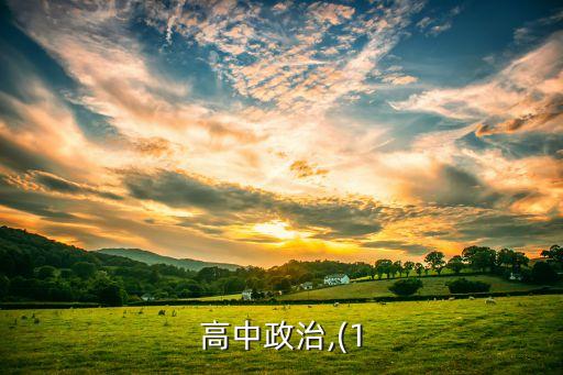 高中政治,(1
