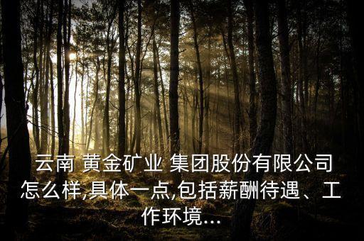  云南 黃金礦業(yè) 集團(tuán)股份有限公司怎么樣,具體一點,包括薪酬待遇、工作環(huán)境...