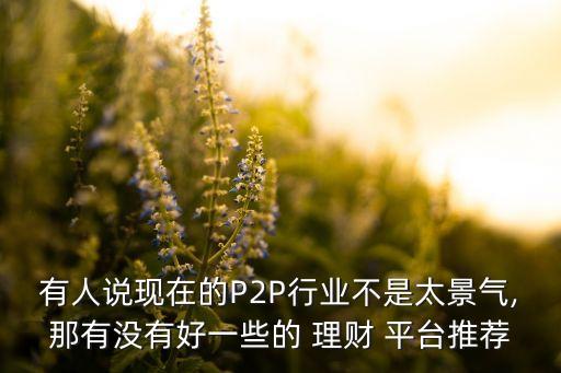 有人說(shuō)現(xiàn)在的P2P行業(yè)不是太景氣,那有沒有好一些的 理財(cái) 平臺(tái)推薦