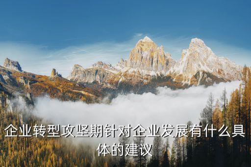 企業(yè)轉(zhuǎn)型攻堅(jiān)期針對(duì)企業(yè)發(fā)展有什么具體的建議