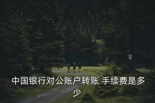 中國(guó)銀行網(wǎng)銀手續(xù)費(fèi)