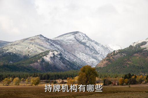 持牌機構有哪些