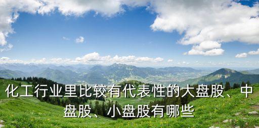 化工行業(yè)里比較有代表性的大盤股、中盤股、小盤股有哪些