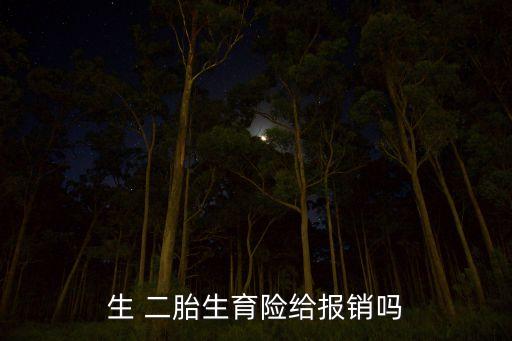 二胎基金,二胎生育基金能報(bào)多少