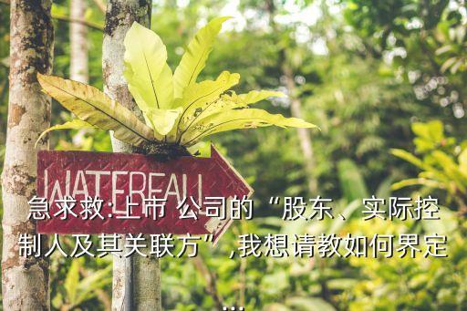 急求救:上市 公司的“股東、實(shí)際控制人及其關(guān)聯(lián)方”,我想請(qǐng)教如何界定...