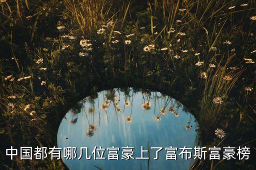 中國(guó)都有哪幾位富豪上了富布斯富豪榜