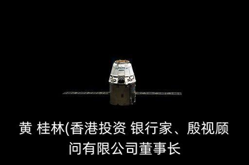 黃 桂林(香港投資 銀行家、殷視顧問有限公司董事長