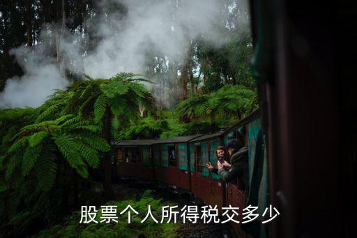  股票個人所得稅交多少