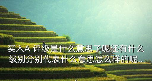 買入A 評級是什么意思了呢還有什么級別分別代表什么意思怎么樣的呢...