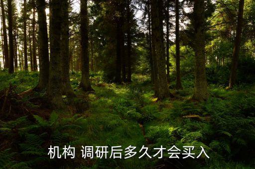  機構(gòu) 調(diào)研后多久才會買入