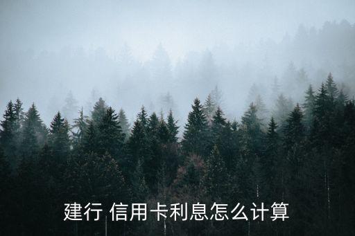 建行 信用卡利息怎么計算