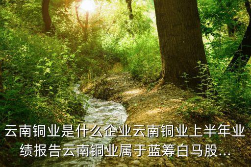 云南銅業(yè)是什么企業(yè)云南銅業(yè)上半年業(yè)績報告云南銅業(yè)屬于藍籌白馬股...