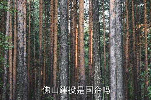  佛山建投是國(guó)企嗎