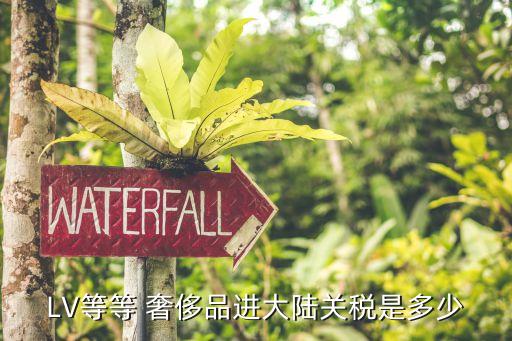 LV等等 奢侈品進大陸關(guān)稅是多少