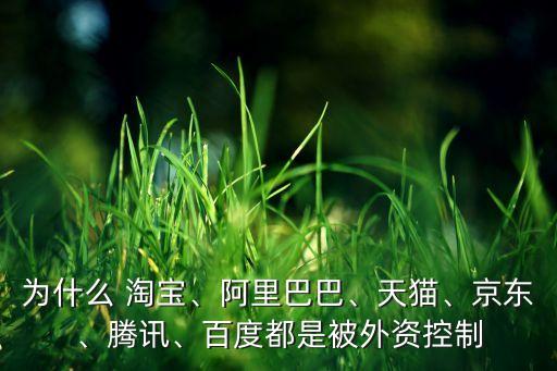 為什么 淘寶、阿里巴巴、天貓、京東、騰訊、百度都是被外資控制