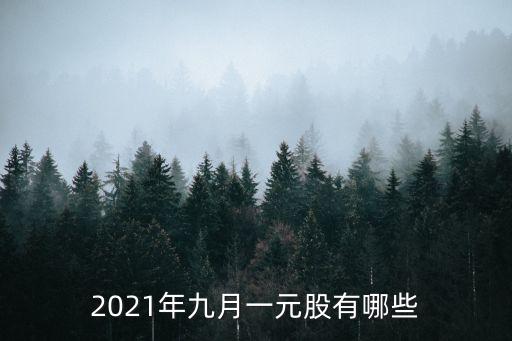 中國(guó)中冶2013