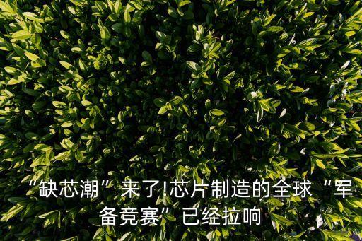 “缺芯潮”來(lái)了!芯片制造的全球“軍備競(jìng)賽”已經(jīng)拉響