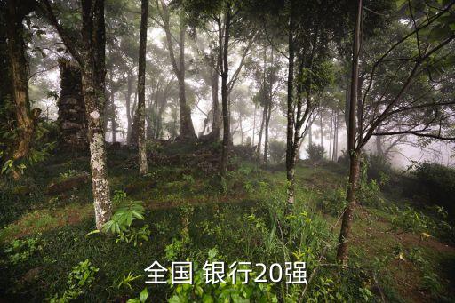 全國 銀行20強(qiáng)