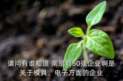 請(qǐng)問有誰知道 南京前50強(qiáng)企業(yè)啊是關(guān)于模具、電子方面的企業(yè)