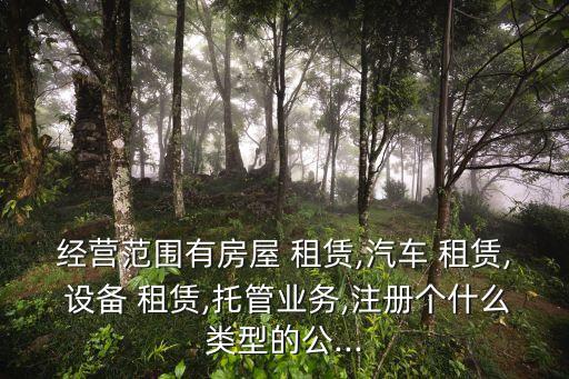 經(jīng)營(yíng)范圍有房屋 租賃,汽車 租賃, 設(shè)備 租賃,托管業(yè)務(wù),注冊(cè)個(gè)什么類型的公...