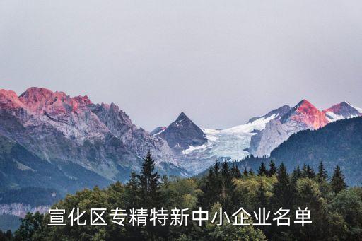 宣化區(qū)專精特新中小企業(yè)名單