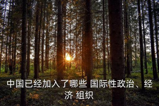 中國已經(jīng)加入了哪些 國際性政治、經(jīng)濟 組織