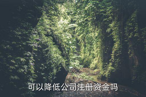 可以降低公司注冊(cè)資金嗎