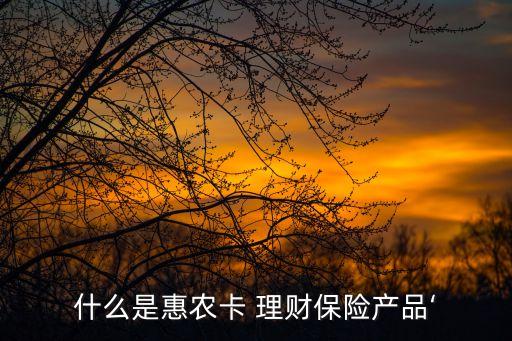 什么是惠農(nóng)卡 理財(cái)保險(xiǎn)產(chǎn)品‘