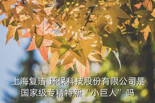  上海復(fù)潔 環(huán)保科技股份有限公司是國(guó)家級(jí)專精特新“小巨人”嗎