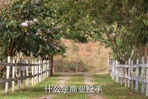 什么是商業(yè)投手