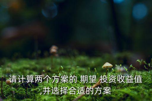 請計(jì)算兩個(gè)方案的 期望 投資收益值,并選擇合適的方案