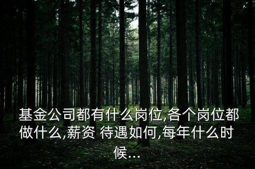  基金公司都有什么崗位,各個崗位都做什么,薪資 待遇如何,每年什么時候...